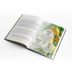 Gifts of the Essential Oils