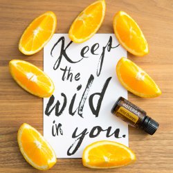 doTerra Wild Orange Oil 15 ml